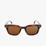 Brown eyewear, front view
