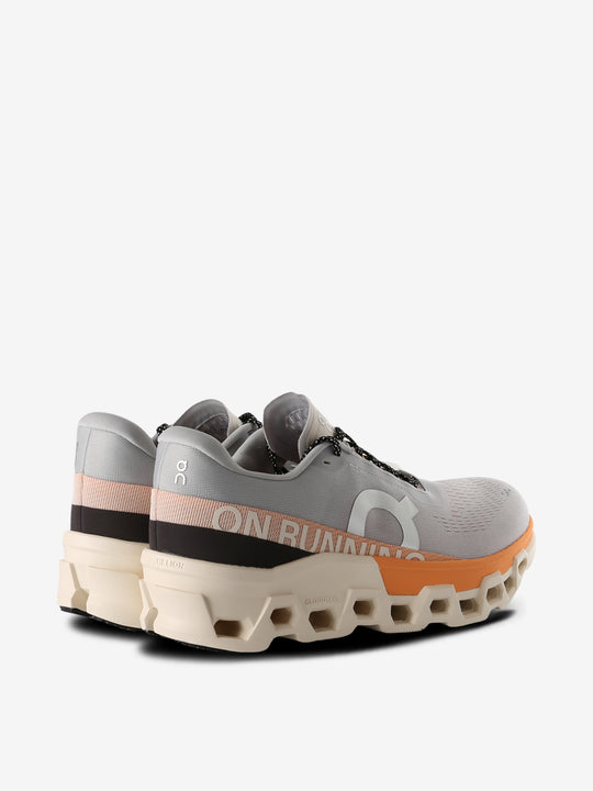 Grey sneakers, back view