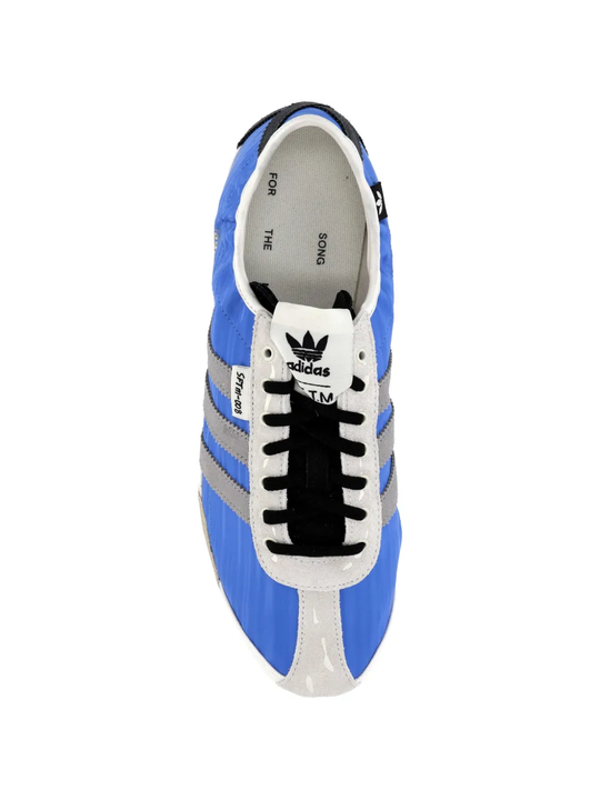 Blue shoes, front view
