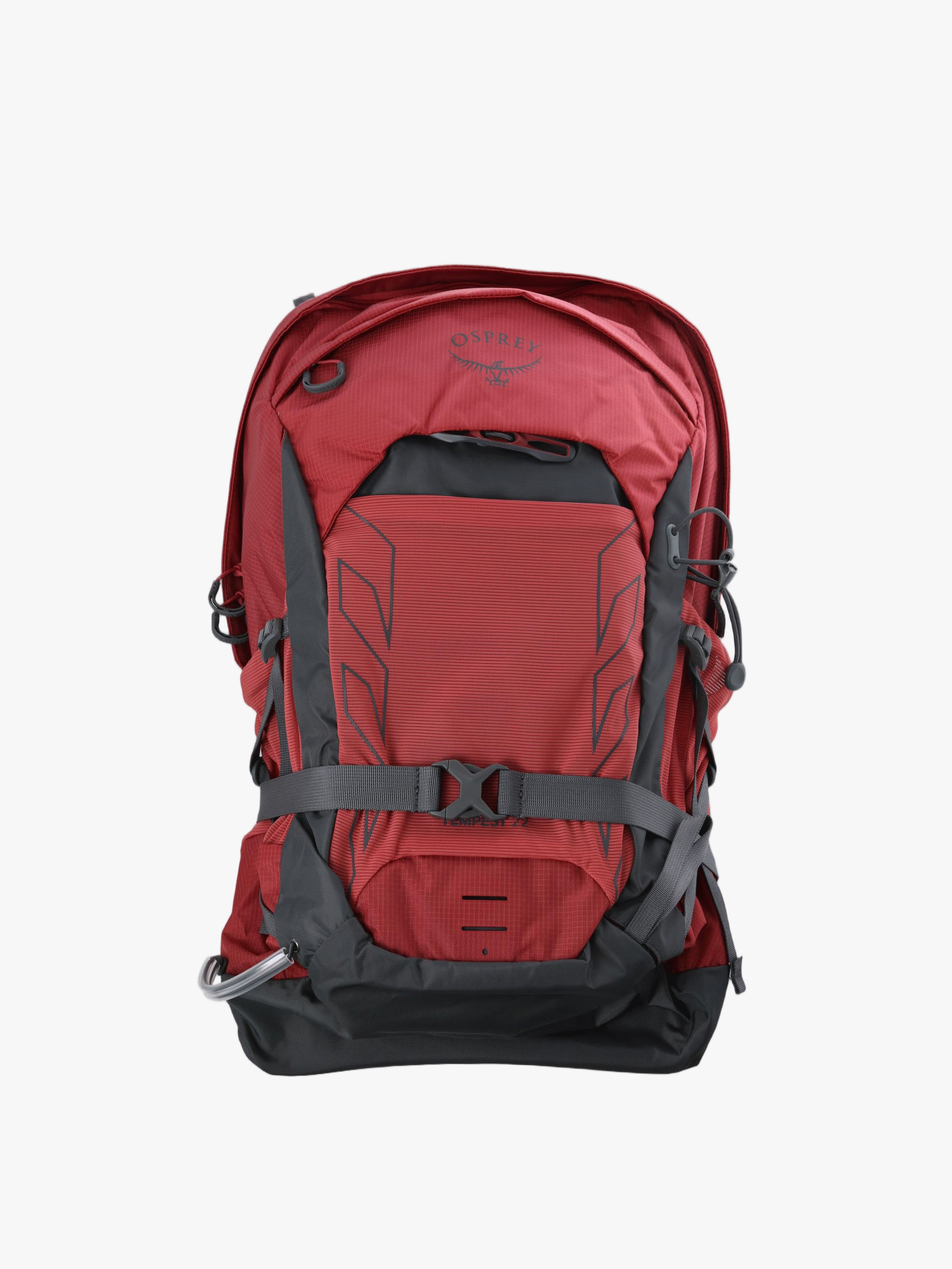 Red bag, back view