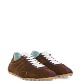 Brown shoes, front view