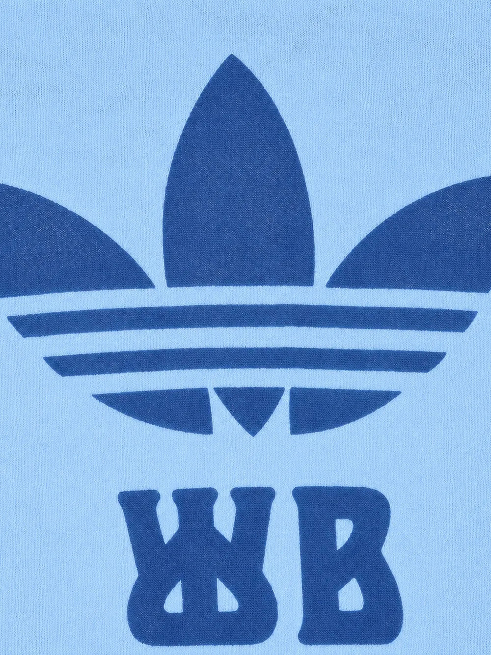 Blue t-shirt, front view