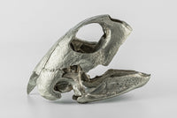 PARTS OF FOUR- Turtle Skull (Var Held Aggression, MZ)