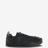 Black shoes, front view