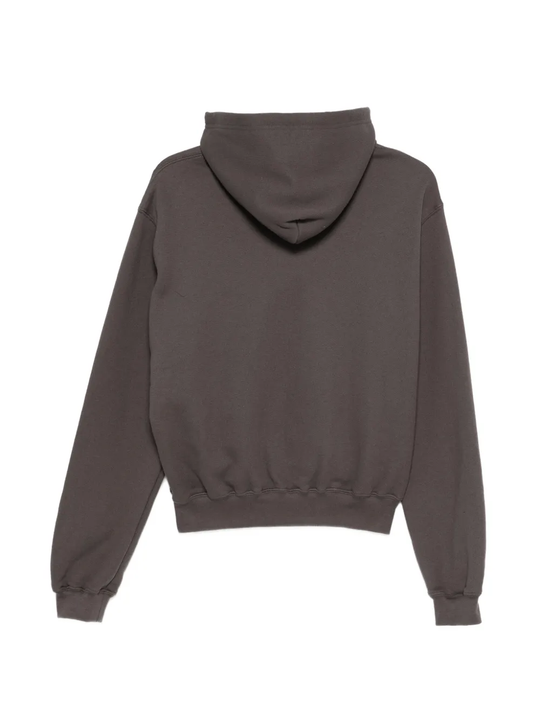 Brown hooide, back view