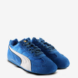 Blue sneaker, front view