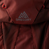 Burgundy bag, front view