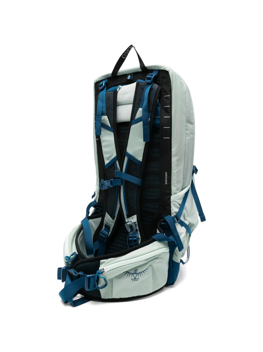 Green bag, back view