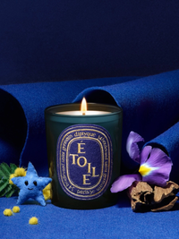 DIPTYQUE - Sapin Ltd. Edition Classic Candle With Golden Lid