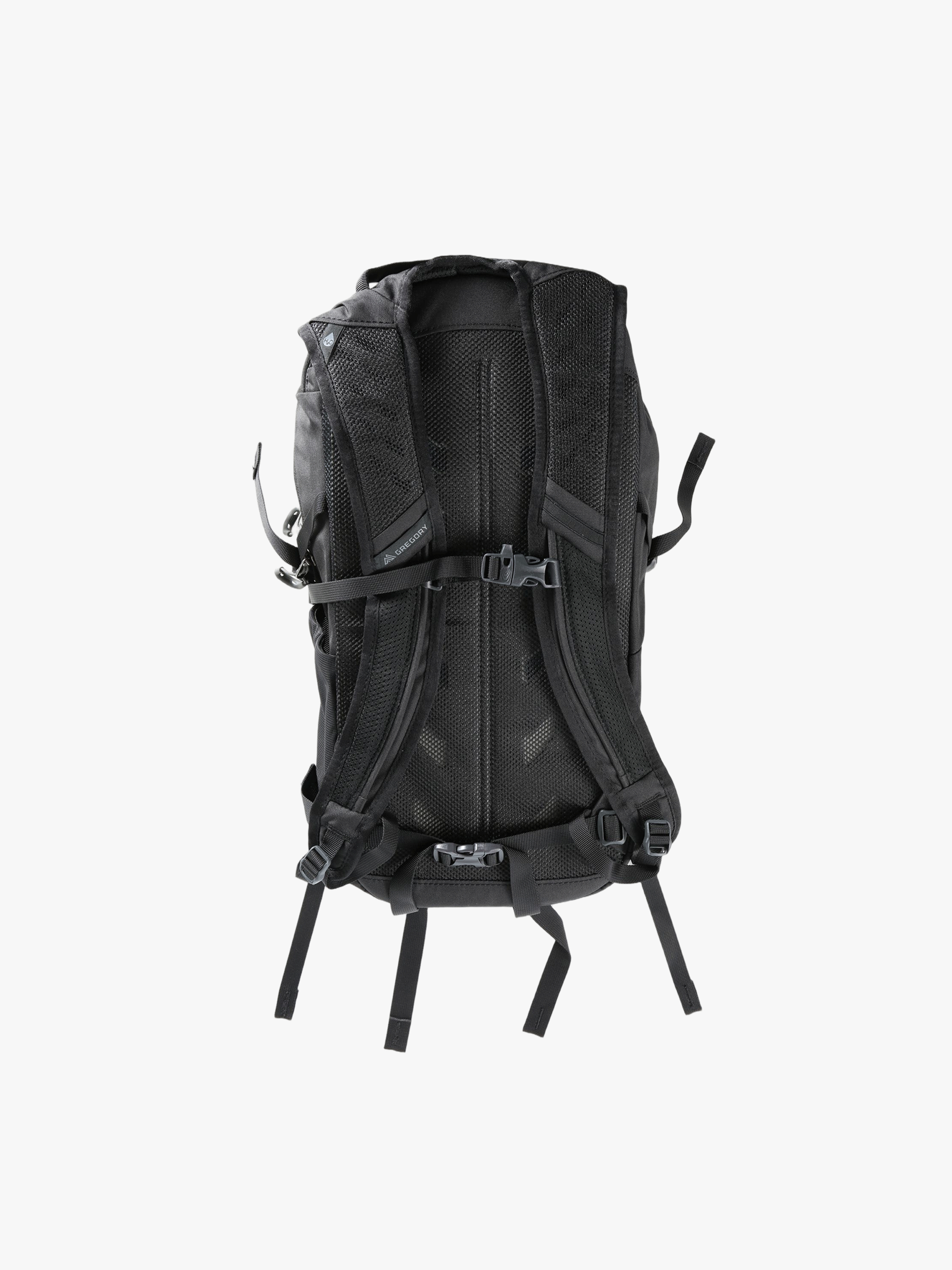 Black backpack, back view