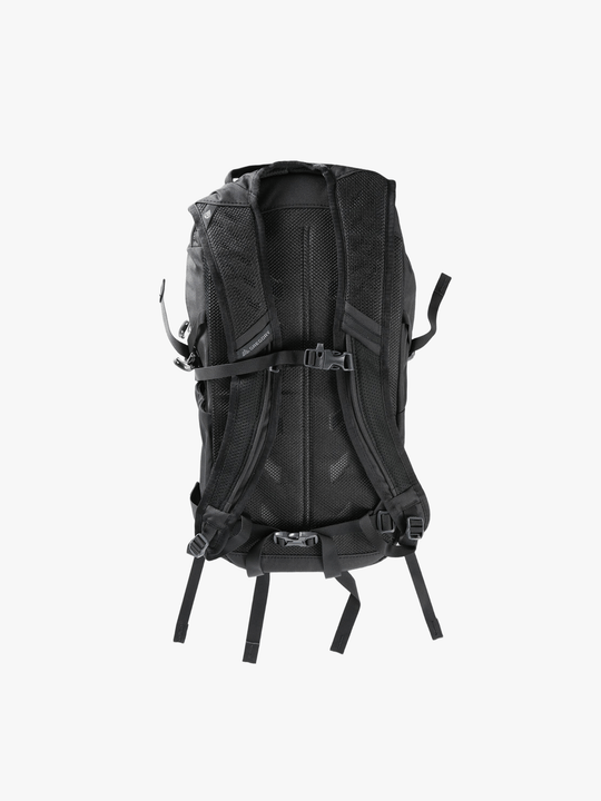 Black backpack, back view