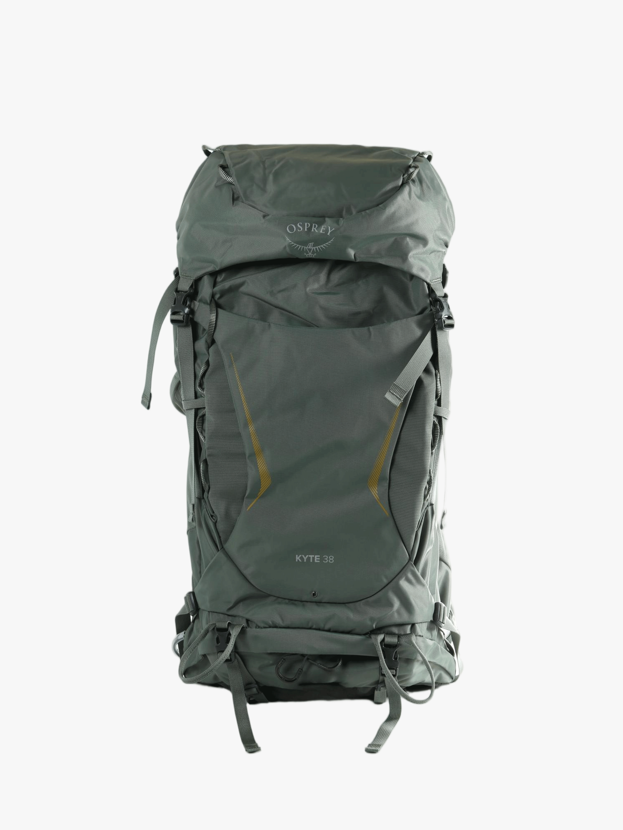 Green bag, front view
