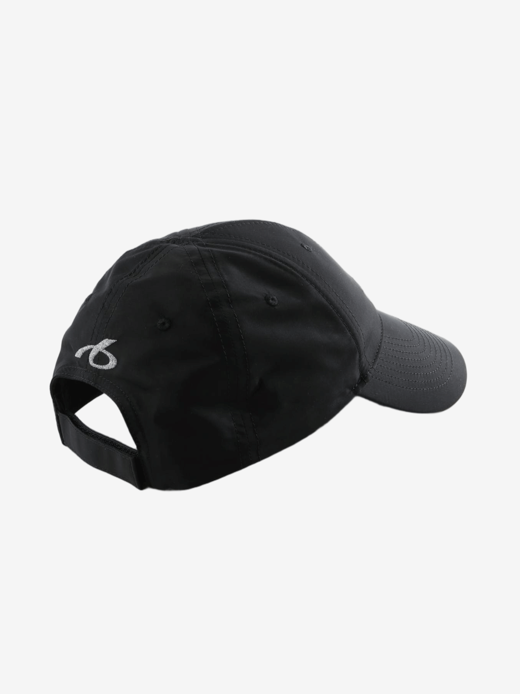 Black hat, back view