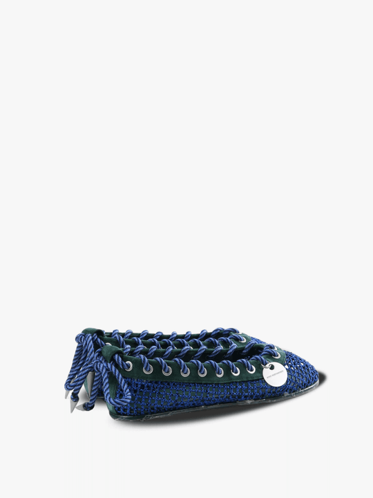 Blue shoe,back view