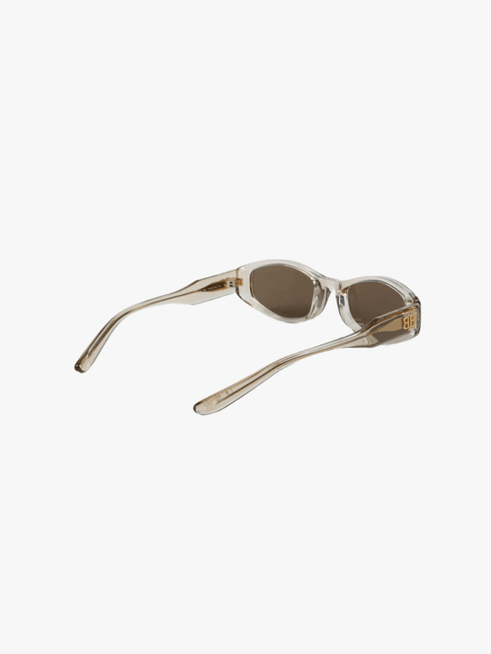 Brown eyewear, back view