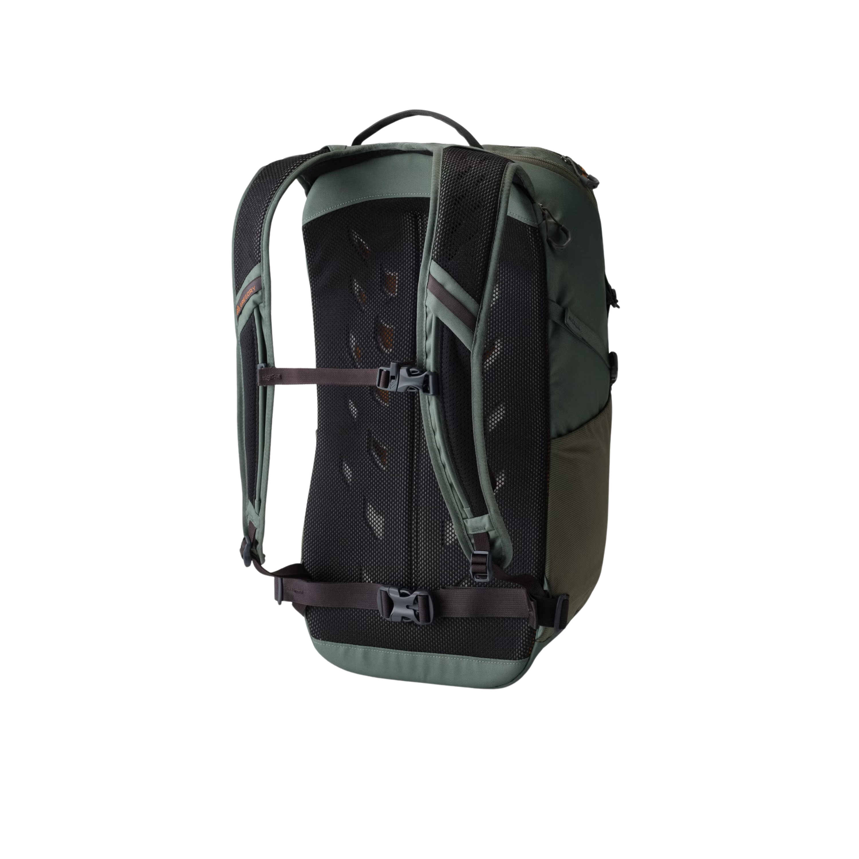 Green bag, back view