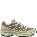 Brown sneakers, front view