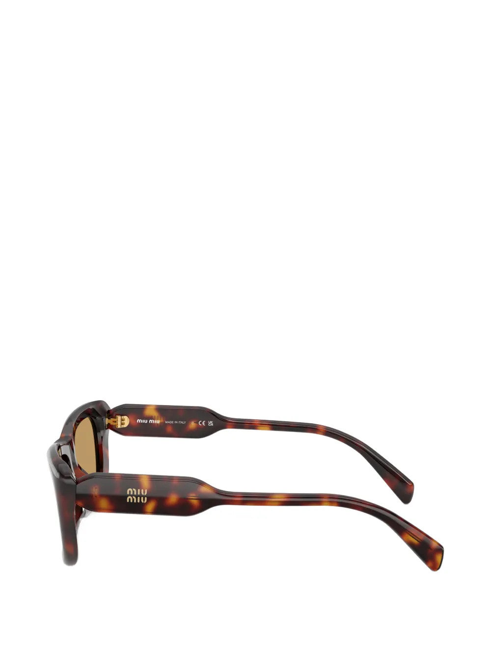 Brown eyewear, side view