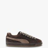 Brown shoes, front view