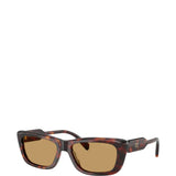 Brown eyewear, front view