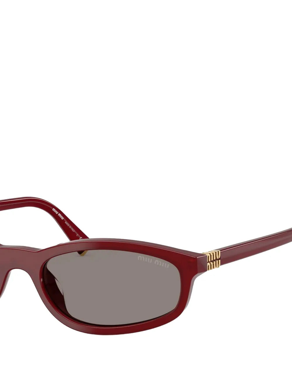 Burgundy eyewear, front view