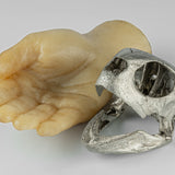 PARTS OF FOUR- Turtle Skull (Var Held Aggression, MZ)
