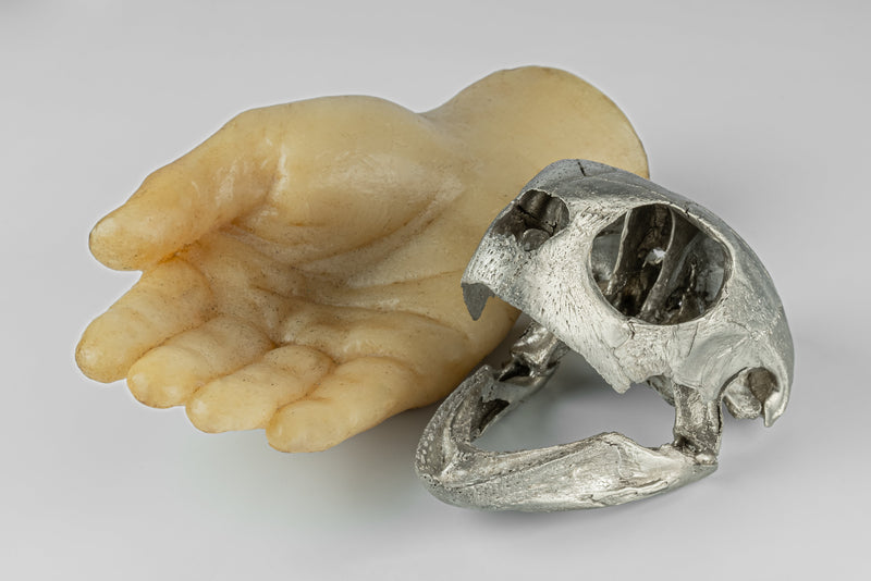 PARTS OF FOUR- Turtle Skull (Var Held Aggression, MZ)