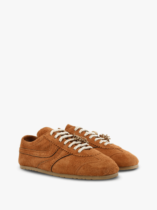 Brown shoes, front view