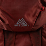 Burgundy bag, front view