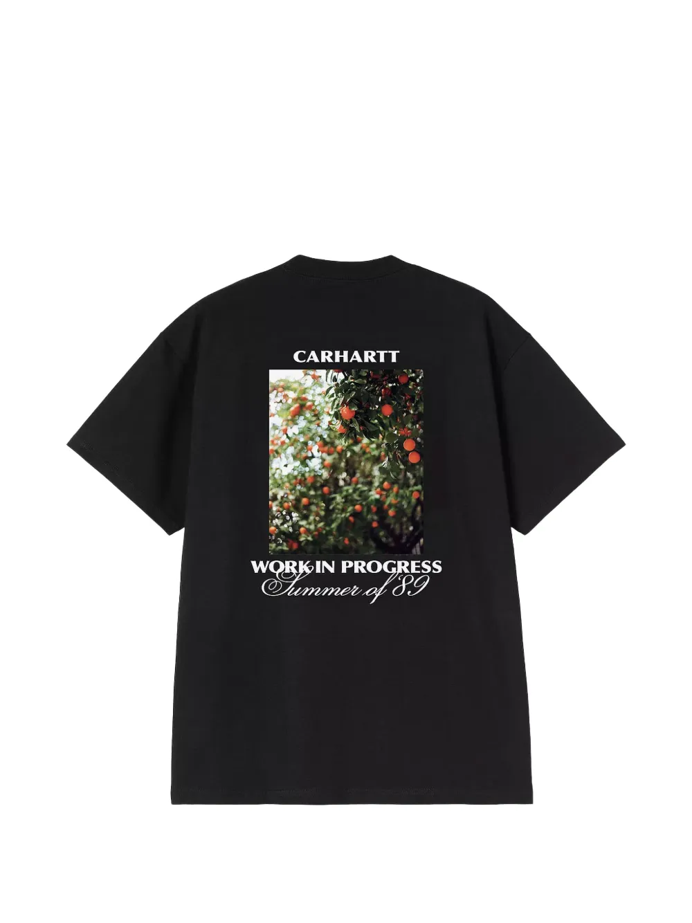 CARHARTT WIP - Unisex S/S Warm Views T-Shirts – Atelier New York