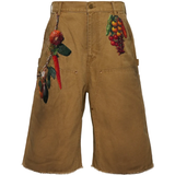 Brown pant , front view