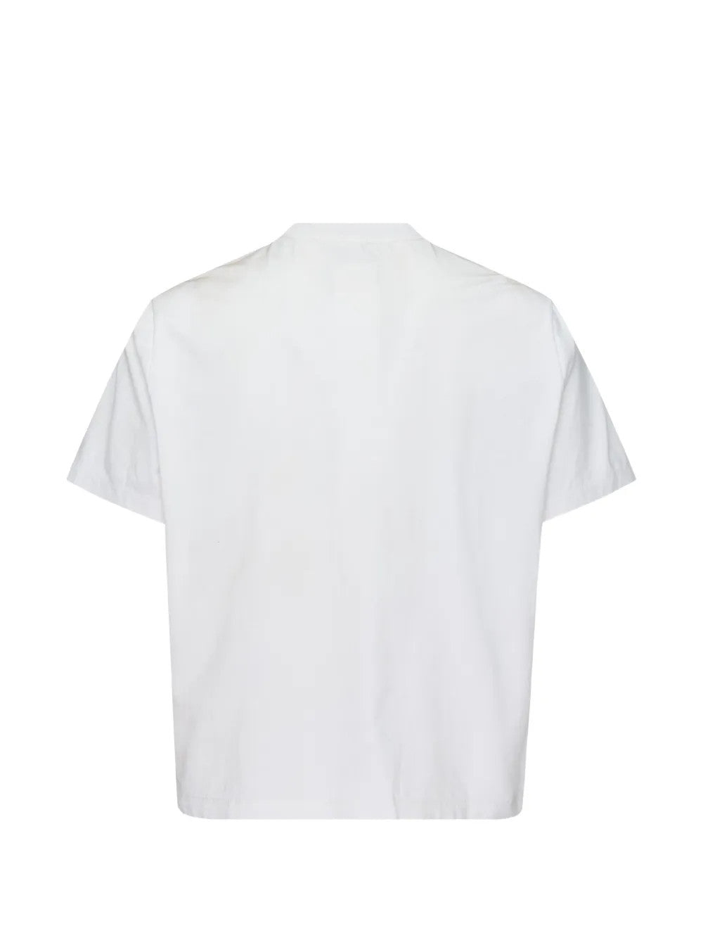 White t-shirt, back view
