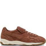 Brown shoes, side view