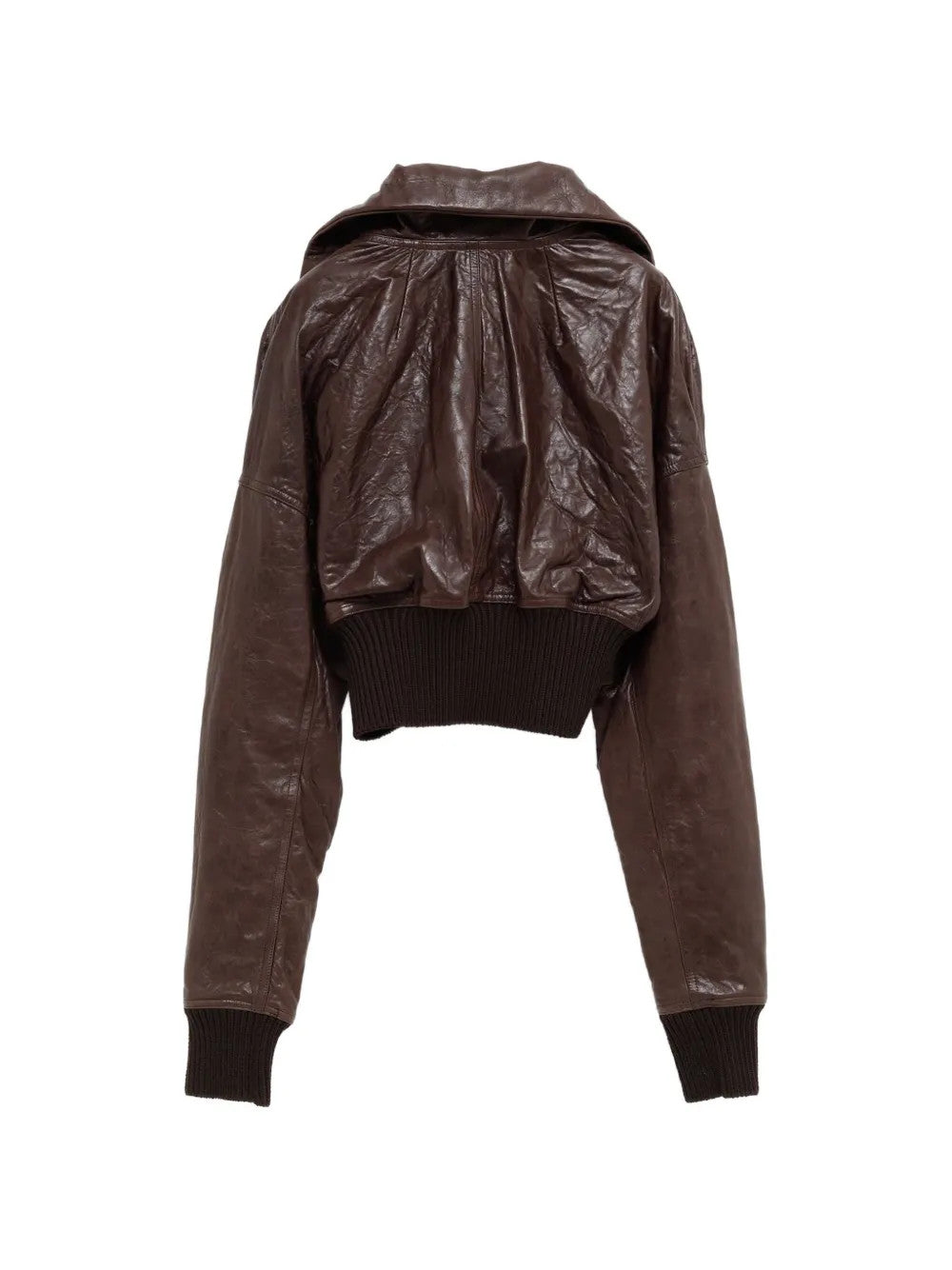 Brown jacket, back view