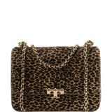 Brown bag, front view