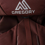 Burgundy bag, front view