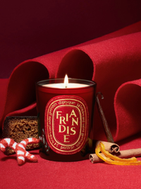 DIPTYQUE - Friandise Ltd. Edition Classic Candle With Golden Lid