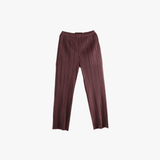 Brown pant, front view