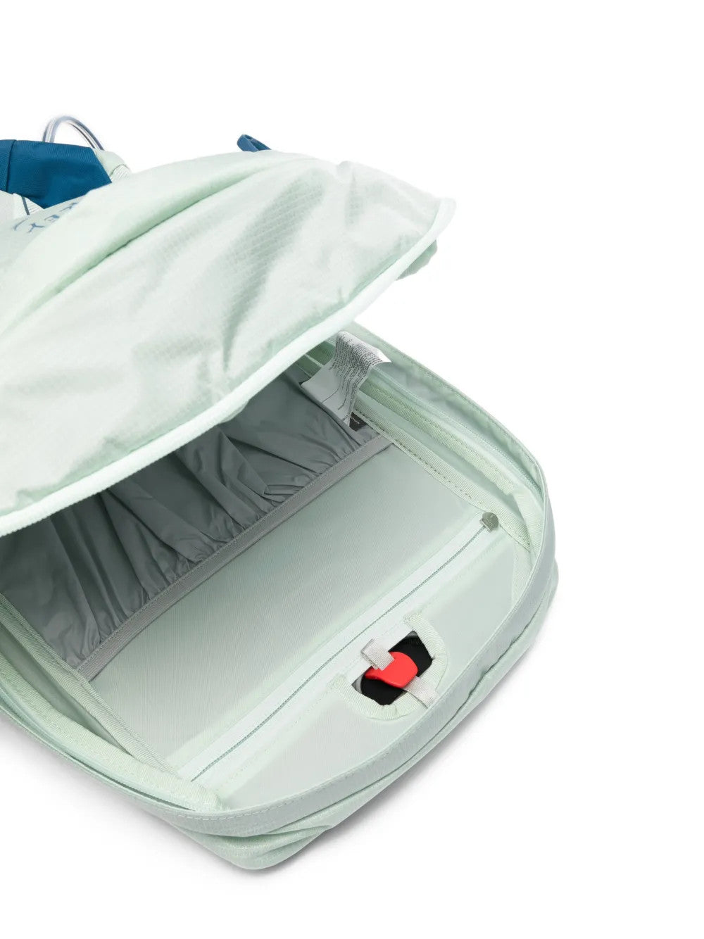 Green bag, front view