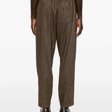 Brown pants, full body view