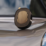 Car diffuser and insert, front view