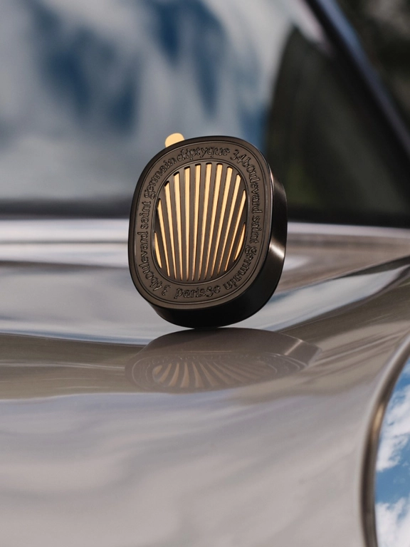 Car diffuser and insert, front view
