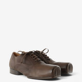 Brown shoes, front view