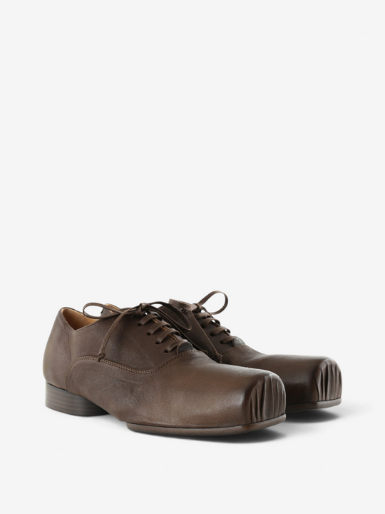 Brown shoes, front view