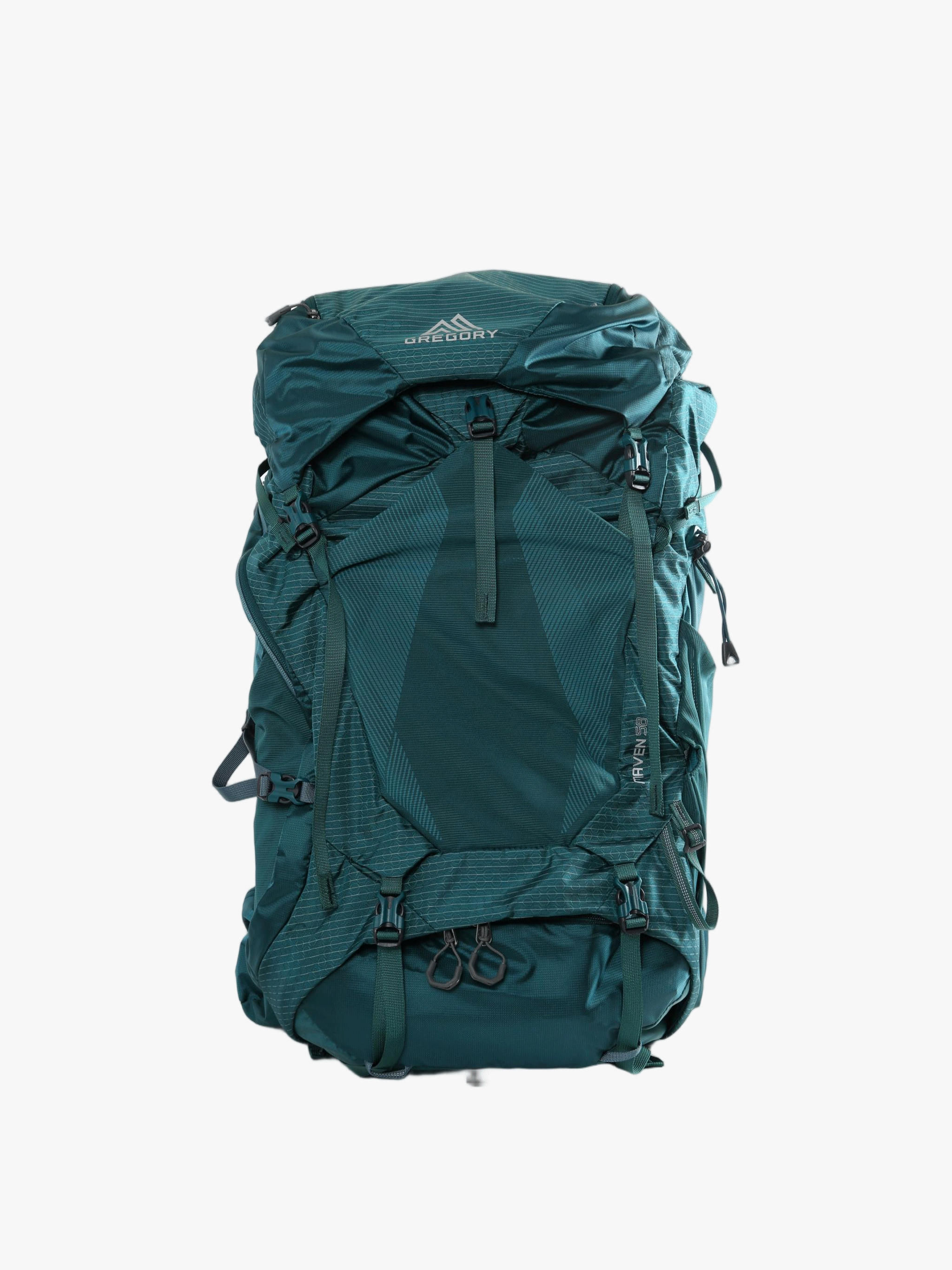 Green bag, front view
