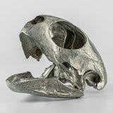 PARTS OF FOUR- Turtle Skull (Var Held Aggression, MZ)