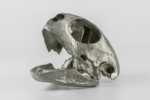 PARTS OF FOUR- Turtle Skull (Var Held Aggression, MZ)