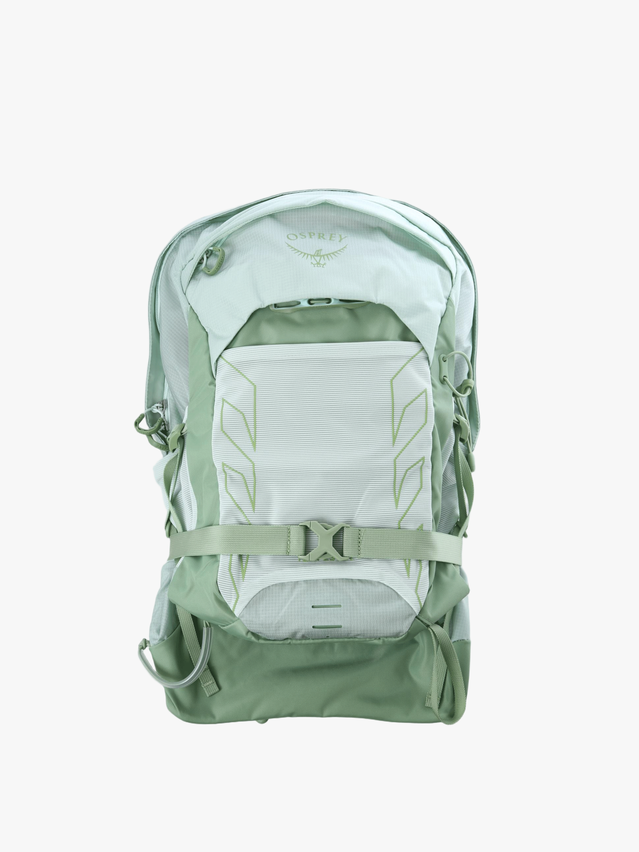 Green bag, back view