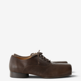 Brown shoes, side view