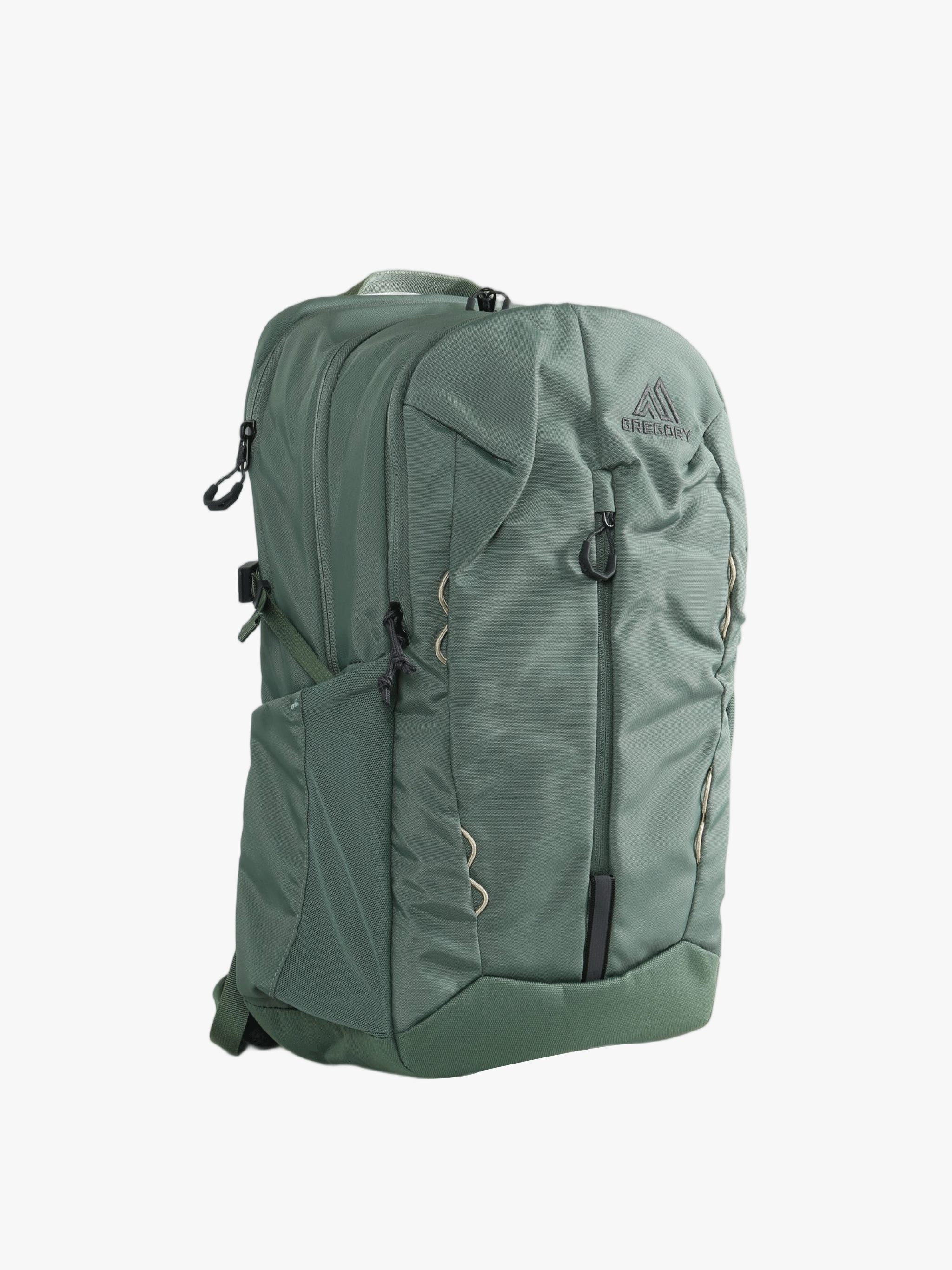 Green bag, front view